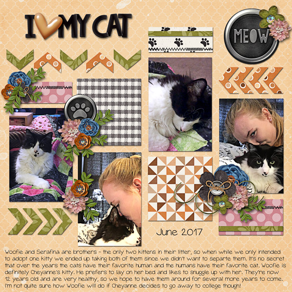 I Love My Cat