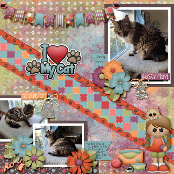 I Love My Cat