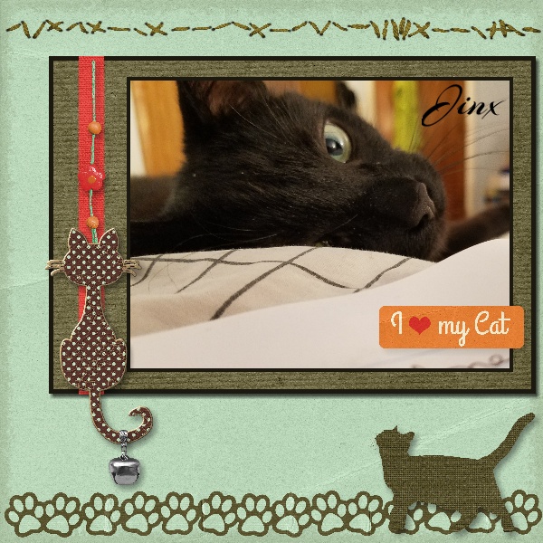 I love my Cat