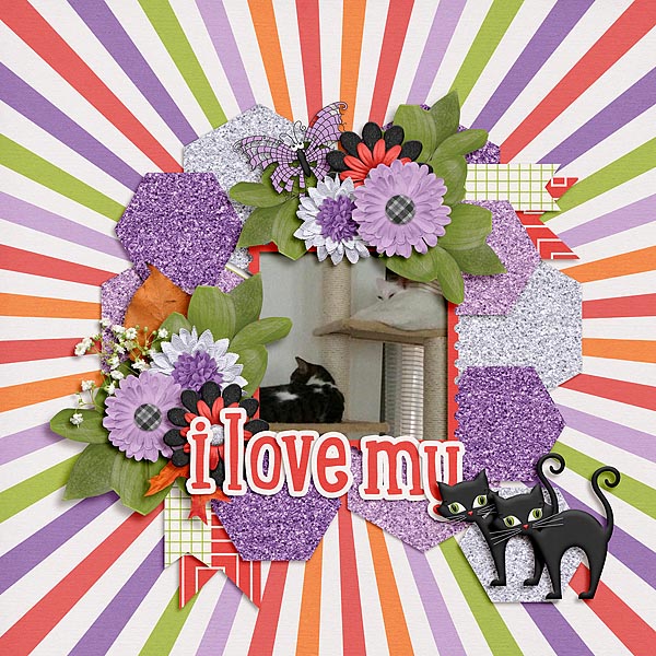 I Love My Cats