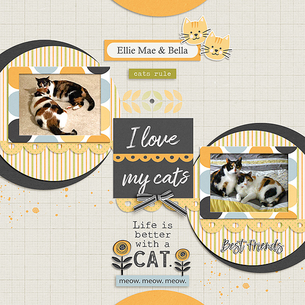 I Love My Cats