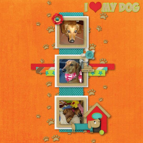 I Love My Dog