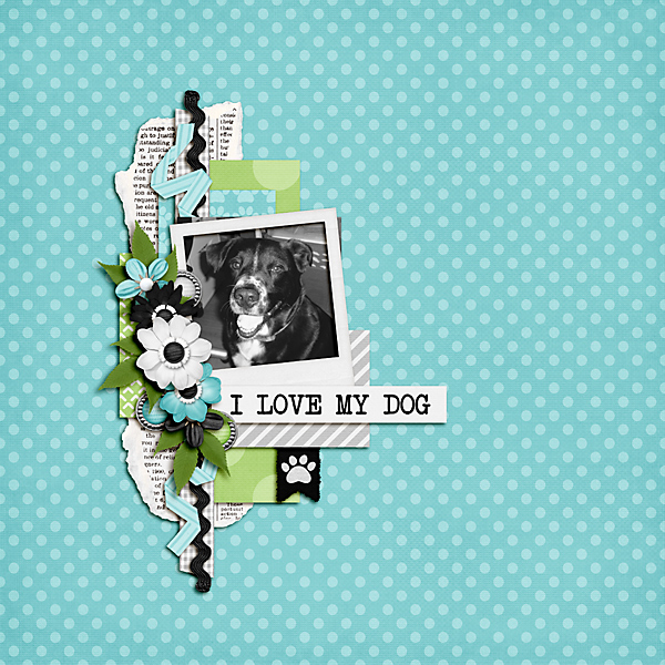 I Love My Dog
