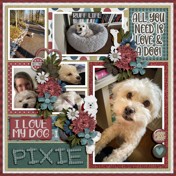 I love my dog