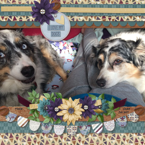 I love my Dogs
