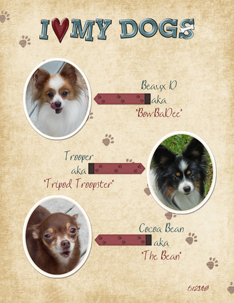I Love My Dogs