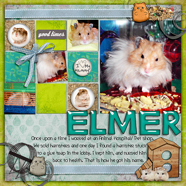 I love my Hamster