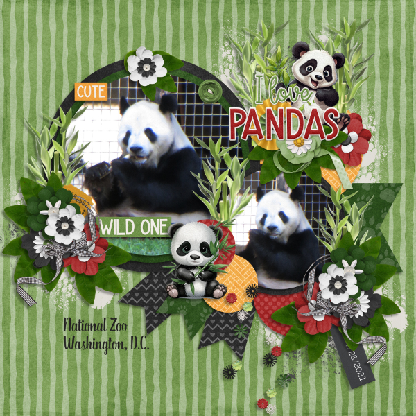 I Love Pandas
