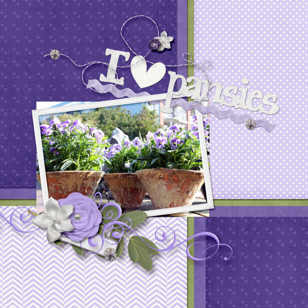 I love pansies