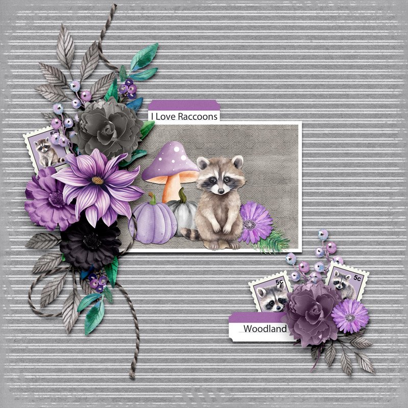 I love racoons.jpg