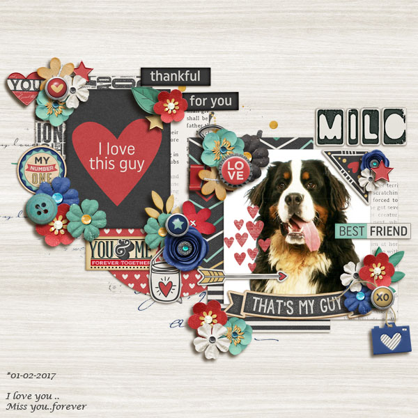 I love this guy