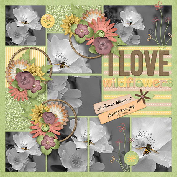I Love Widlflowers
