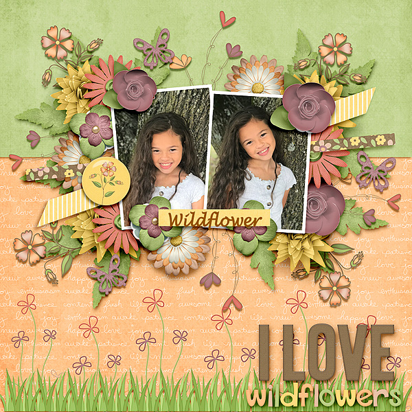 I Love Wildflowers