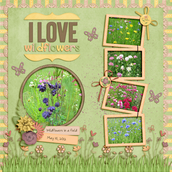 I Love Wildflowers