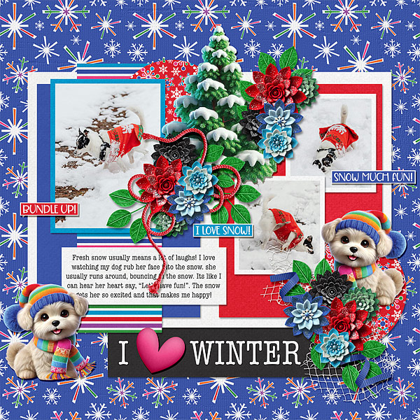 I Love Winter