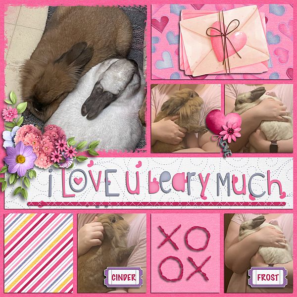 I Love you beary Much