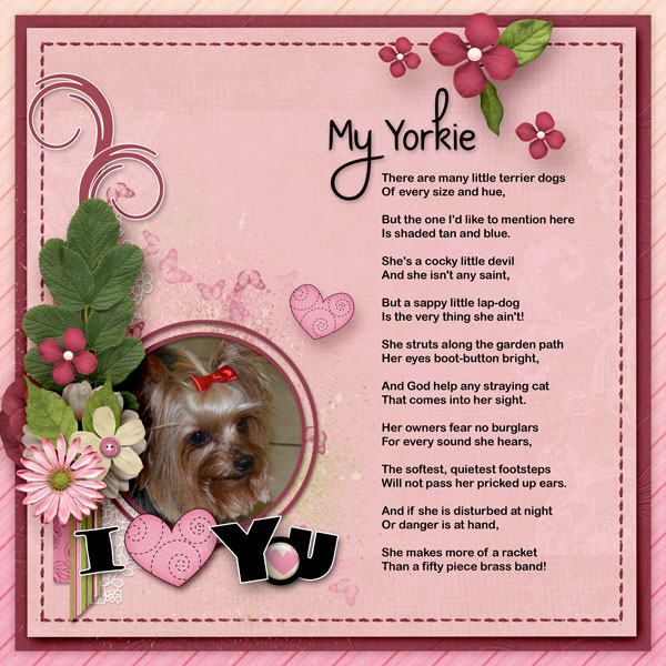 I Love You - My Yorkie