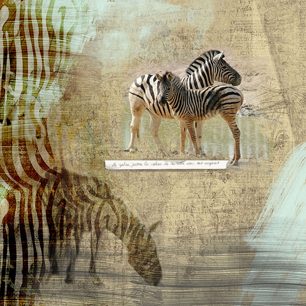 I love Zebras