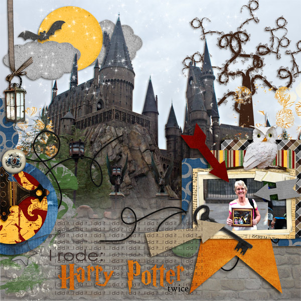 I rode Harry Potter