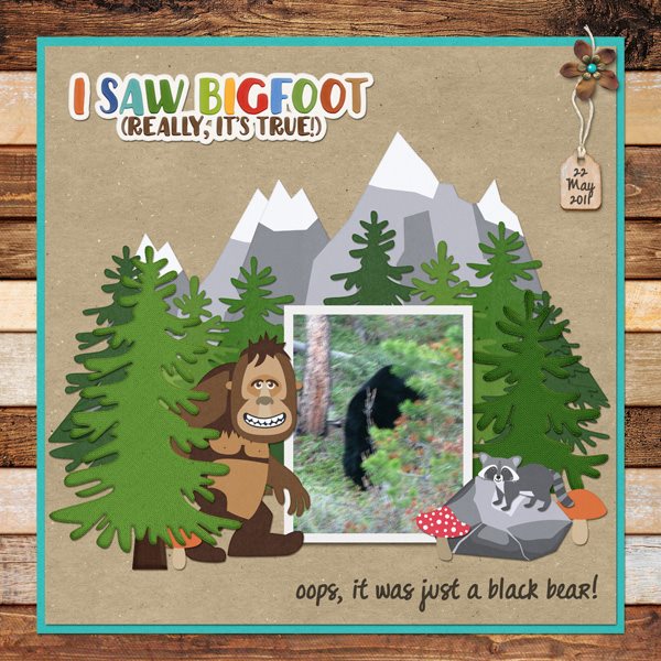 I Saw Bigfoot