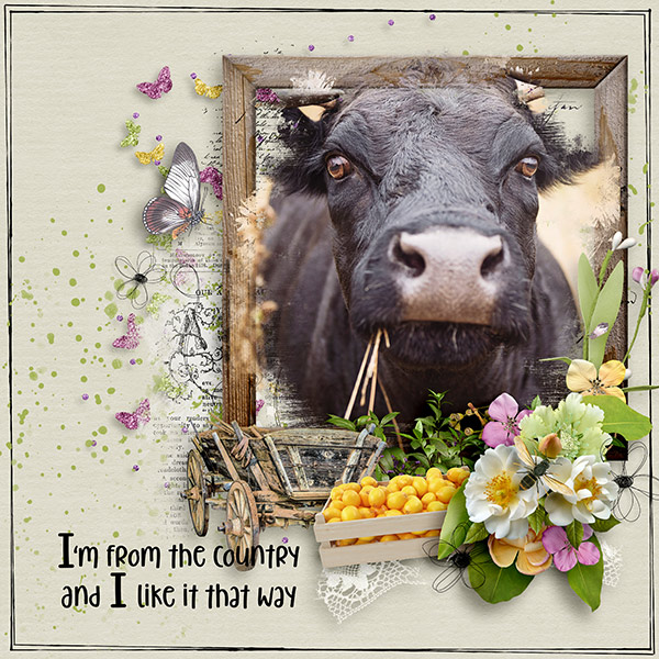 I say Moo!