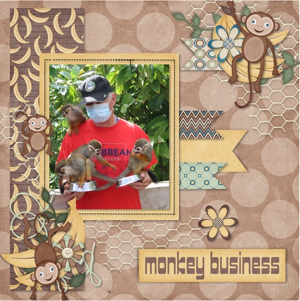 I See Monkeys