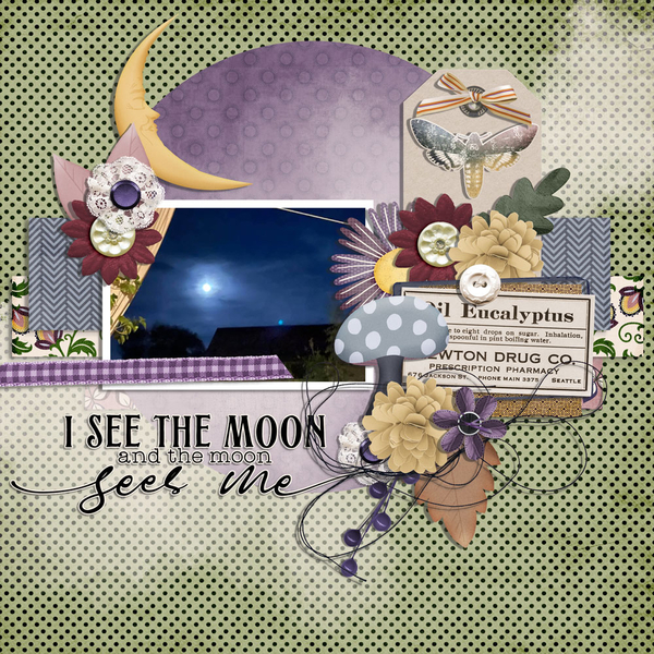 I see the moon