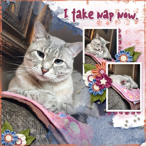 I-Take-Nap-Now.jpg