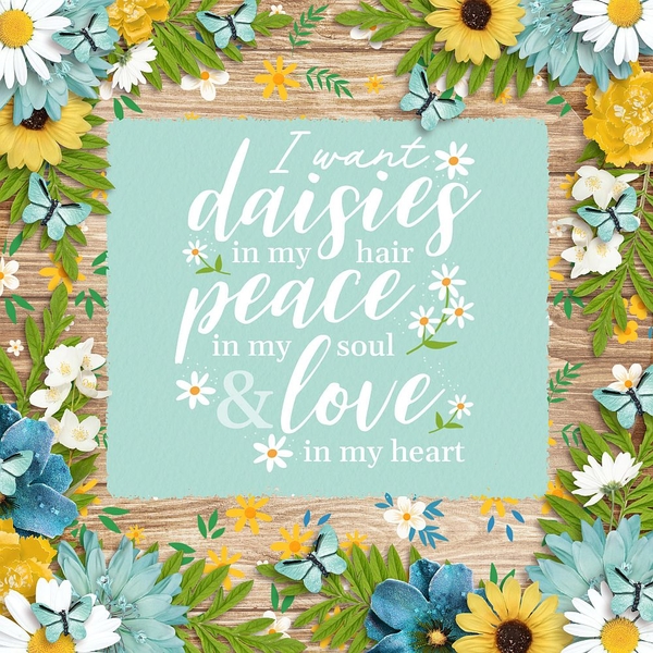 I want daisies