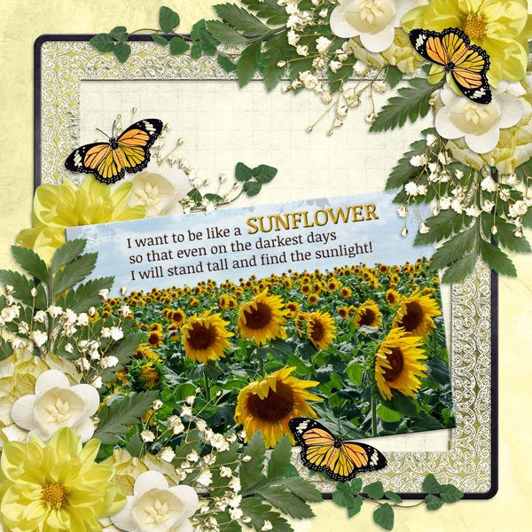 I want to be like a SUNFLOWER