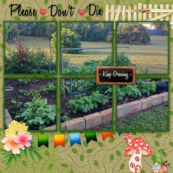 I Wet My Plants-ScrapbookCrazy January Temp #3 Challenge