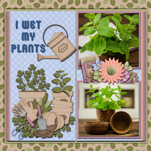 I Wet My Plants