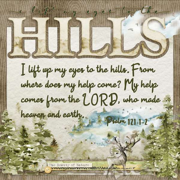 I will lift up my eyes unto the hills