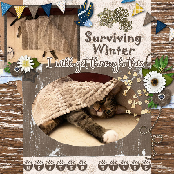 I Will Survive