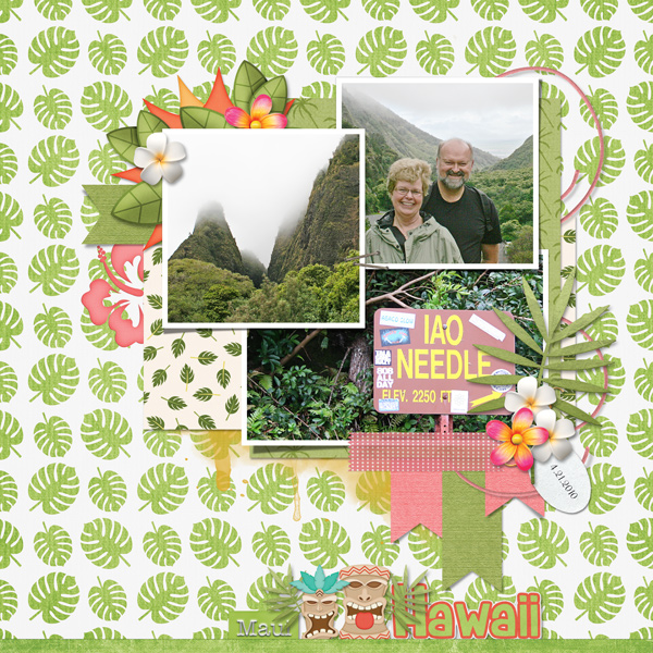 IAO Needle Sept template 2