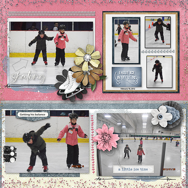 Ice Skating Lessons