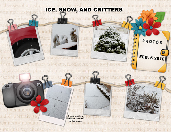 Ice, Snow, and Critters