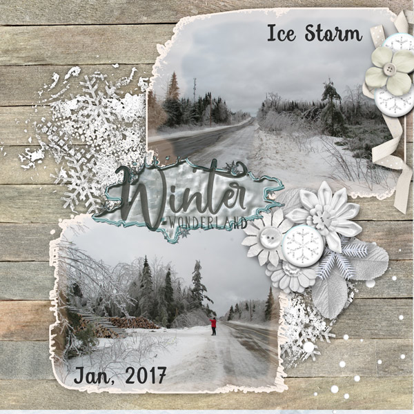 Ice Storm Remnant