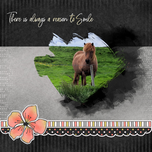 Icelandic Horse