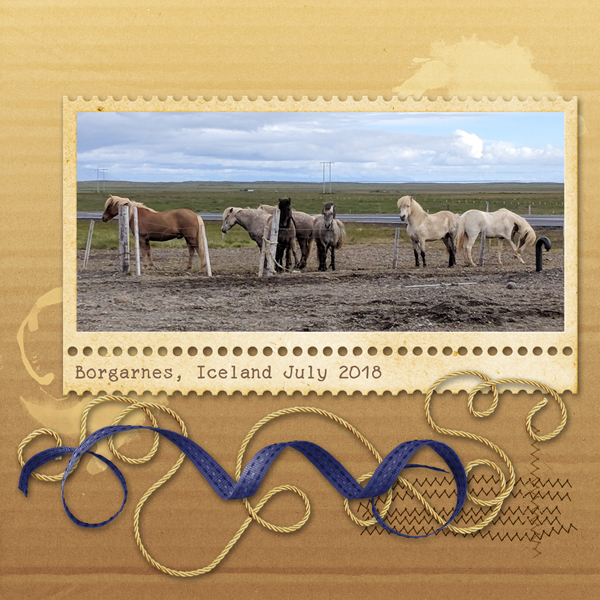 Icelandic Horses