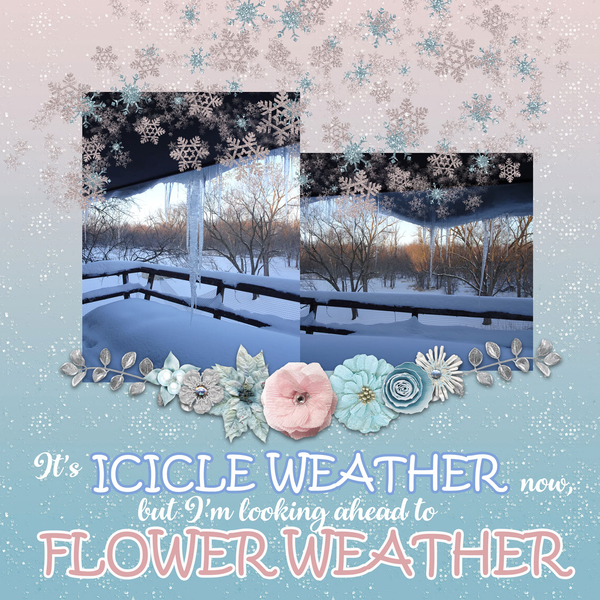 Icicle Weather