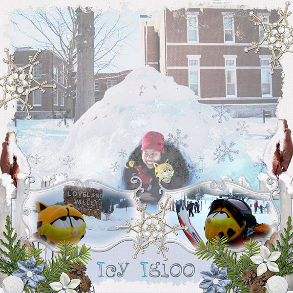 Icy Igloo