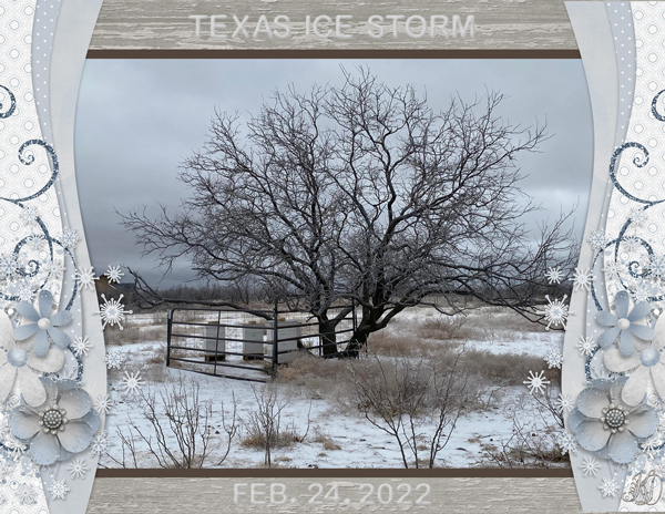 icy tree