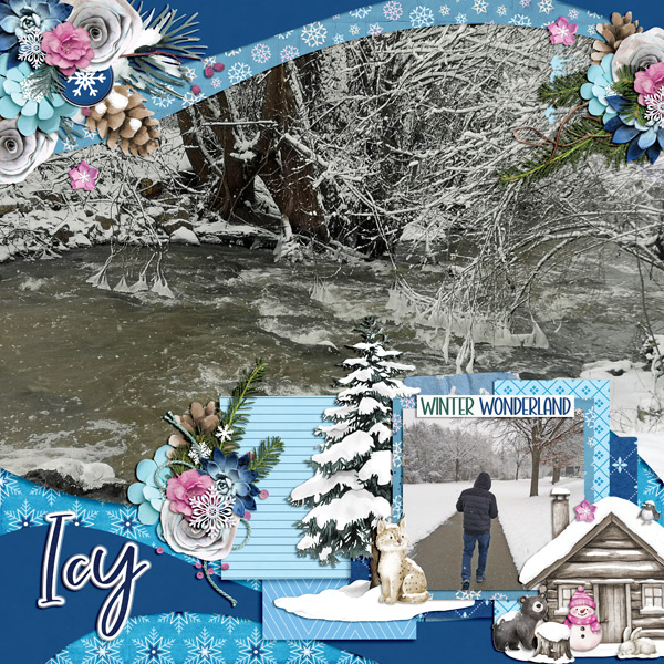 icy winter wonderland