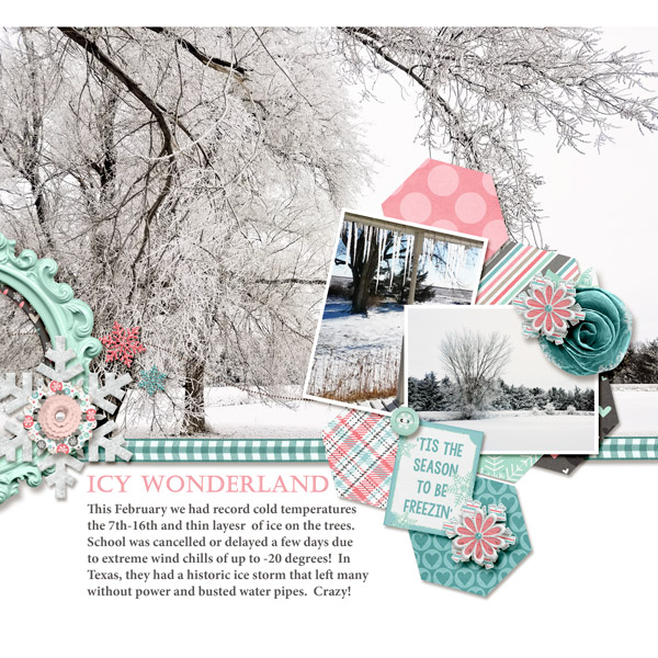 Icy Wonderland