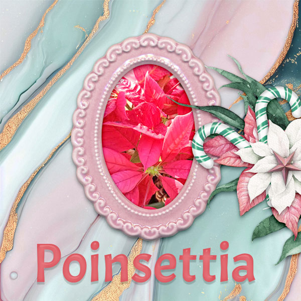 ID_ATasteOfChristmas-