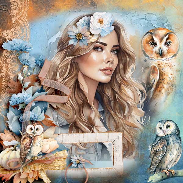 ID_AWiseOldOwl_02