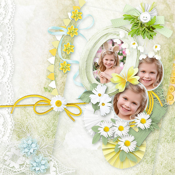 ID_Daisy