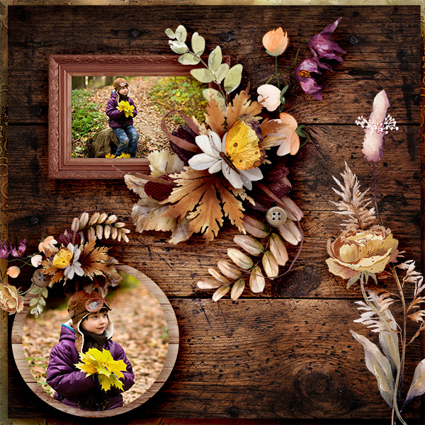 ID_SeasonsChange_01a