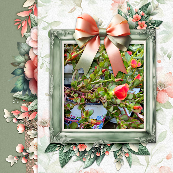 ID_WhereHaveAllTheFlowersGone-